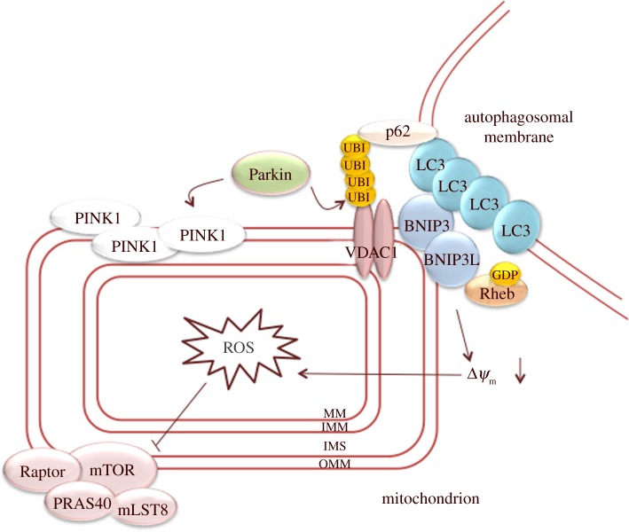 Figure 2.