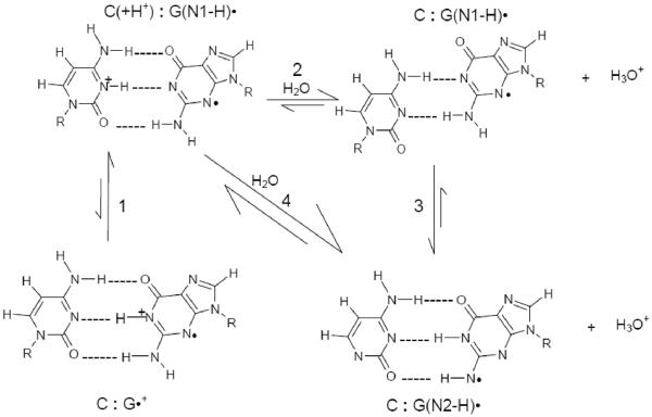 Scheme 1