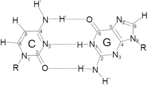 Scheme 3