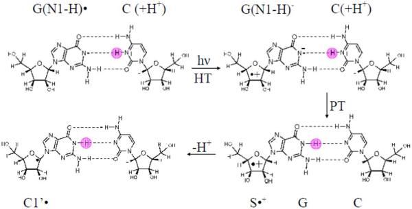 Scheme 4