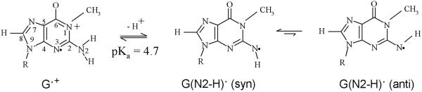 Scheme 2