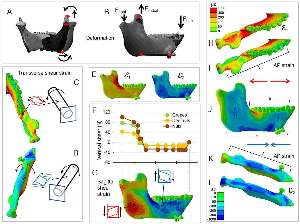 Figure 6.