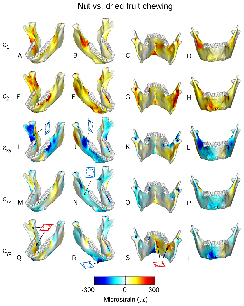 Figure 11.