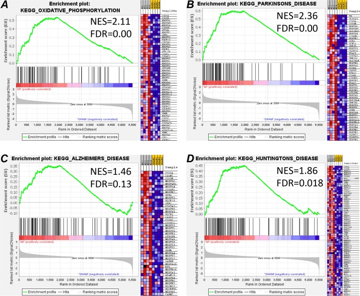 Extended Data Fig. 6