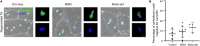 Extended Data Fig. 4