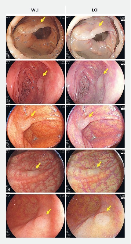 Supplementary Fig. 1 