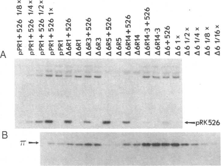 graphic file with name pnas00328-0382-a.jpg