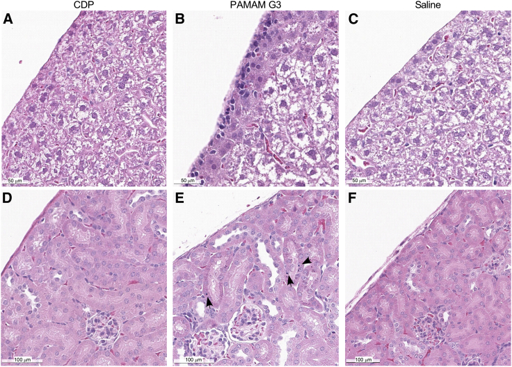 Figure 7