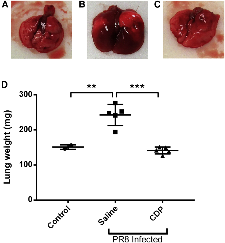 Figure 6