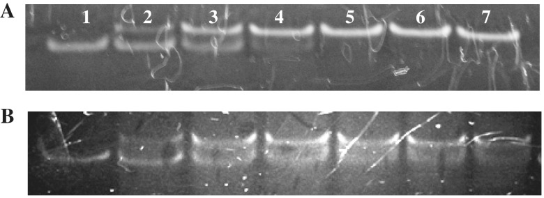 Figure 10.