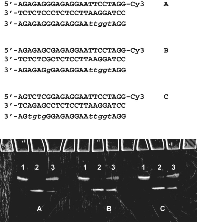 Figure 9.