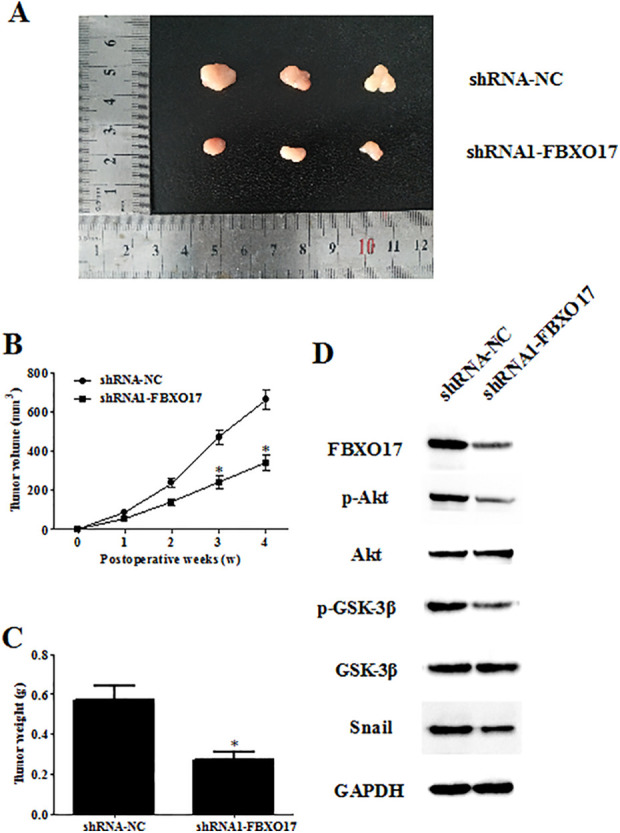 Figure 10.