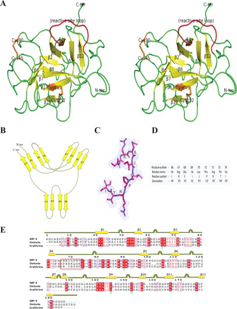 FIGURE 5.