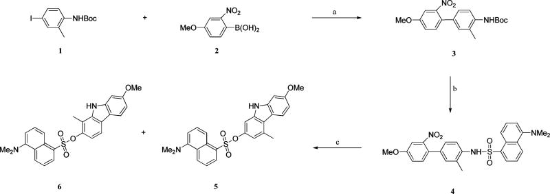 Scheme 1