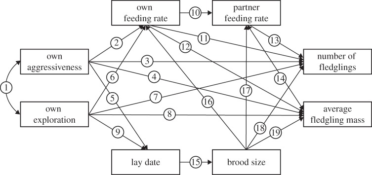 Figure 1.