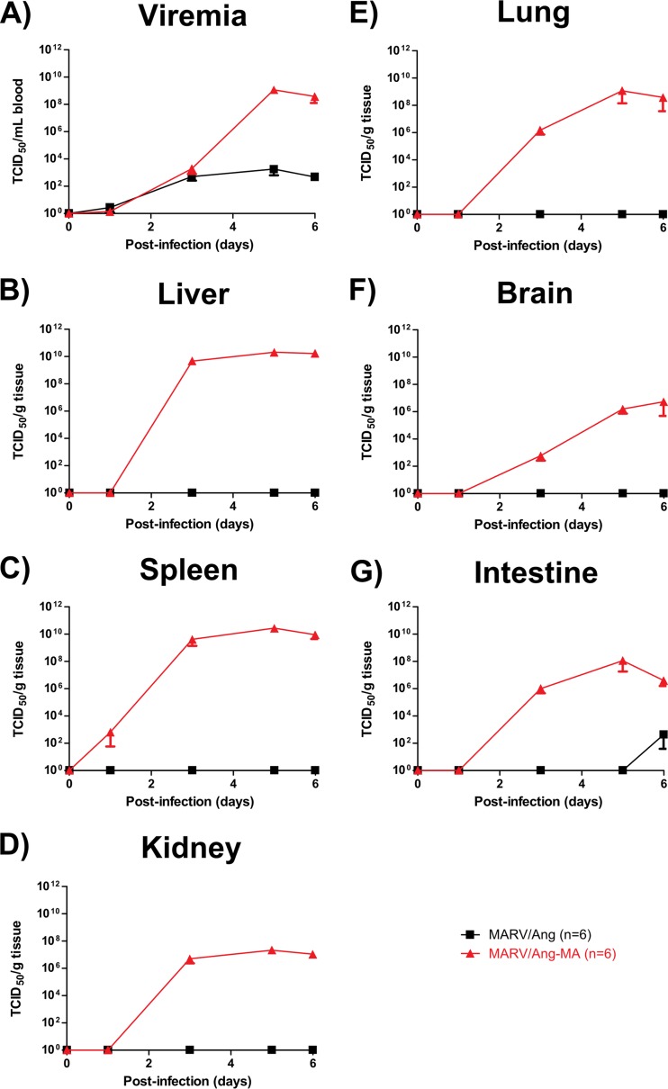 FIG 5