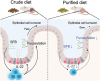 Graphical Abstract