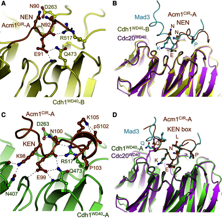 Figure 3