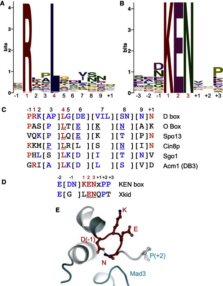 Figure 5