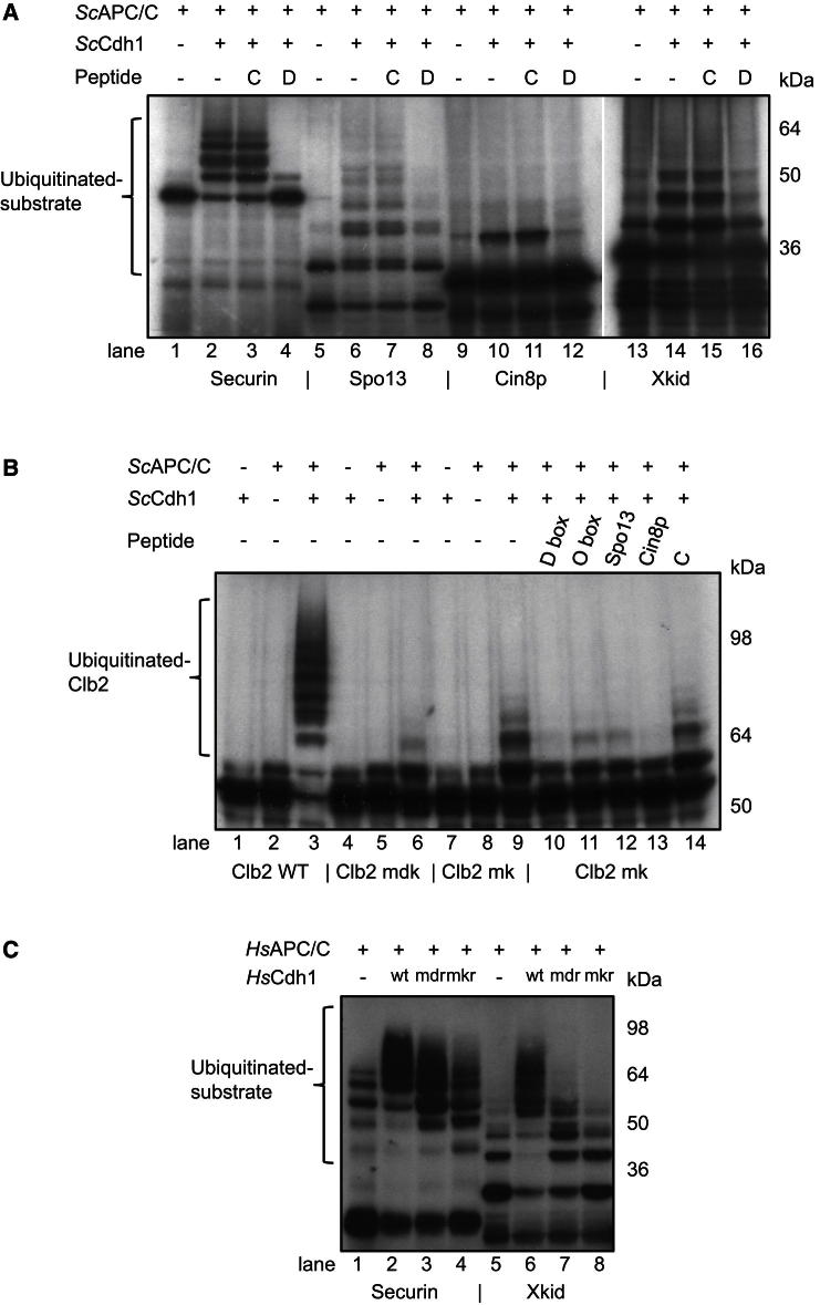 Figure 7