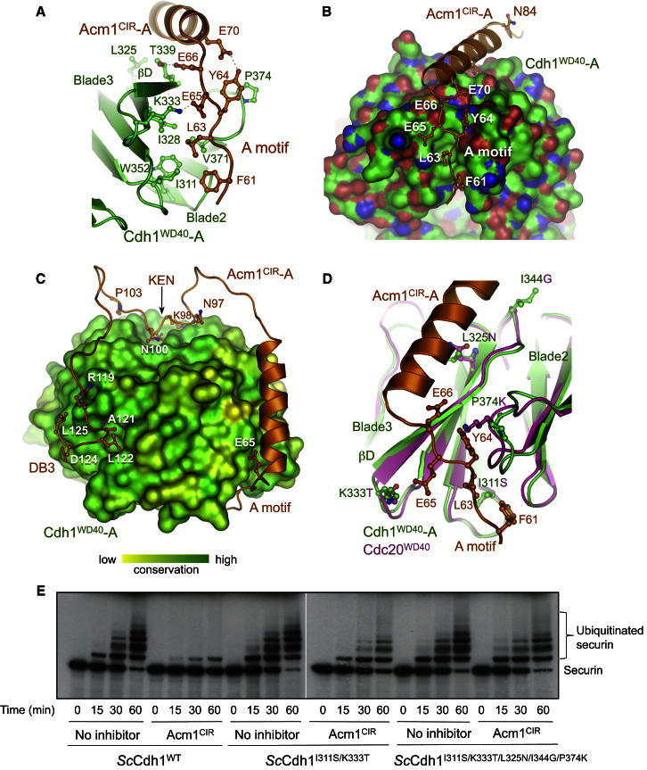 Figure 2