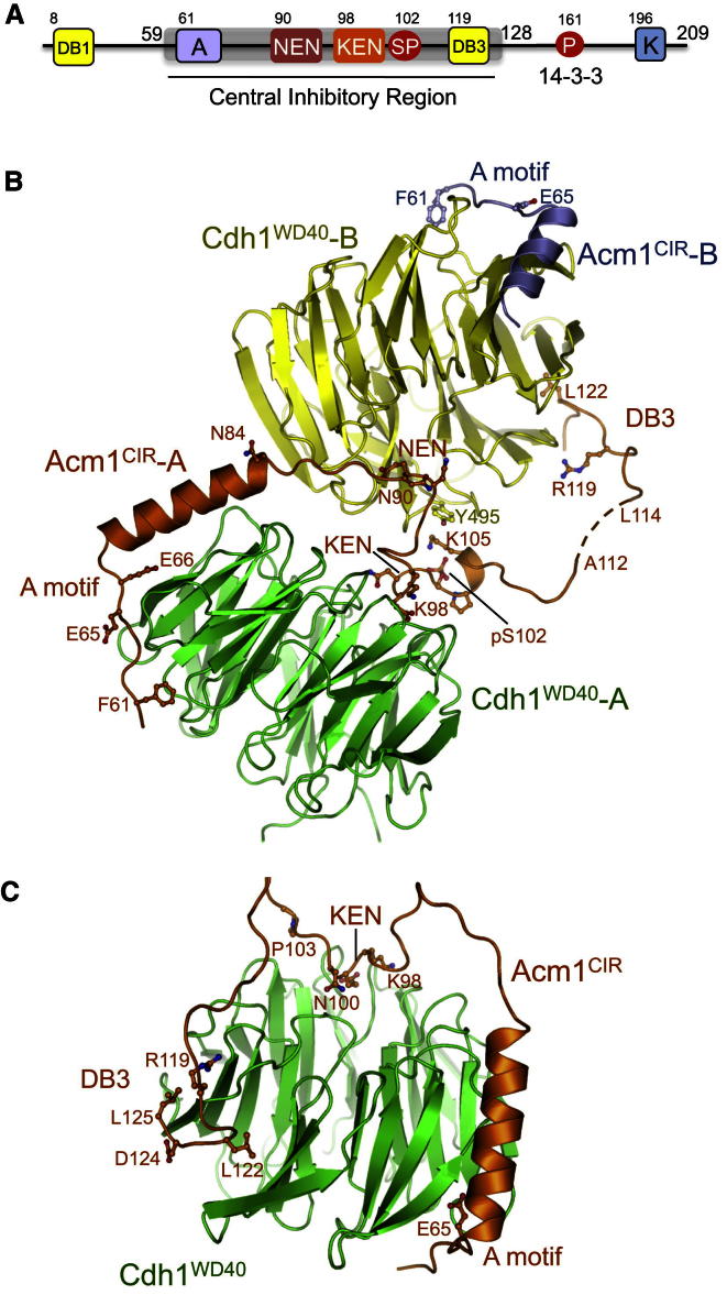 Figure 1