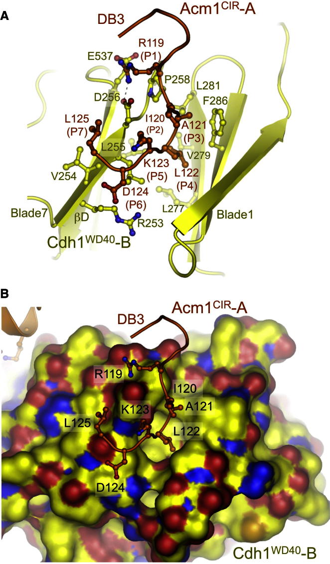 Figure 4