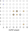 Fig 5