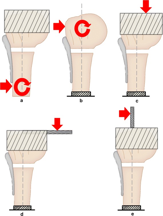 Fig. 4