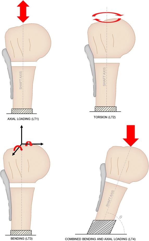 Fig. 2