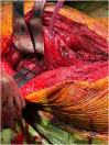 Appendix Figure 7