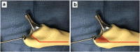 Appendix Figure 2