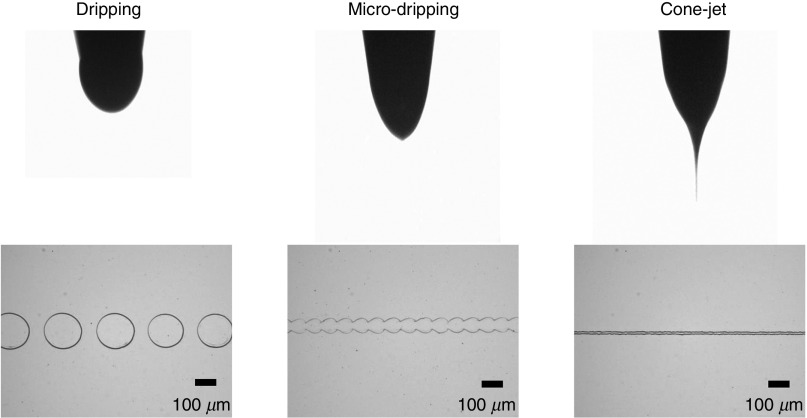 FIG. 12.