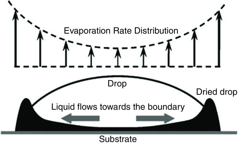 FIG. 27.