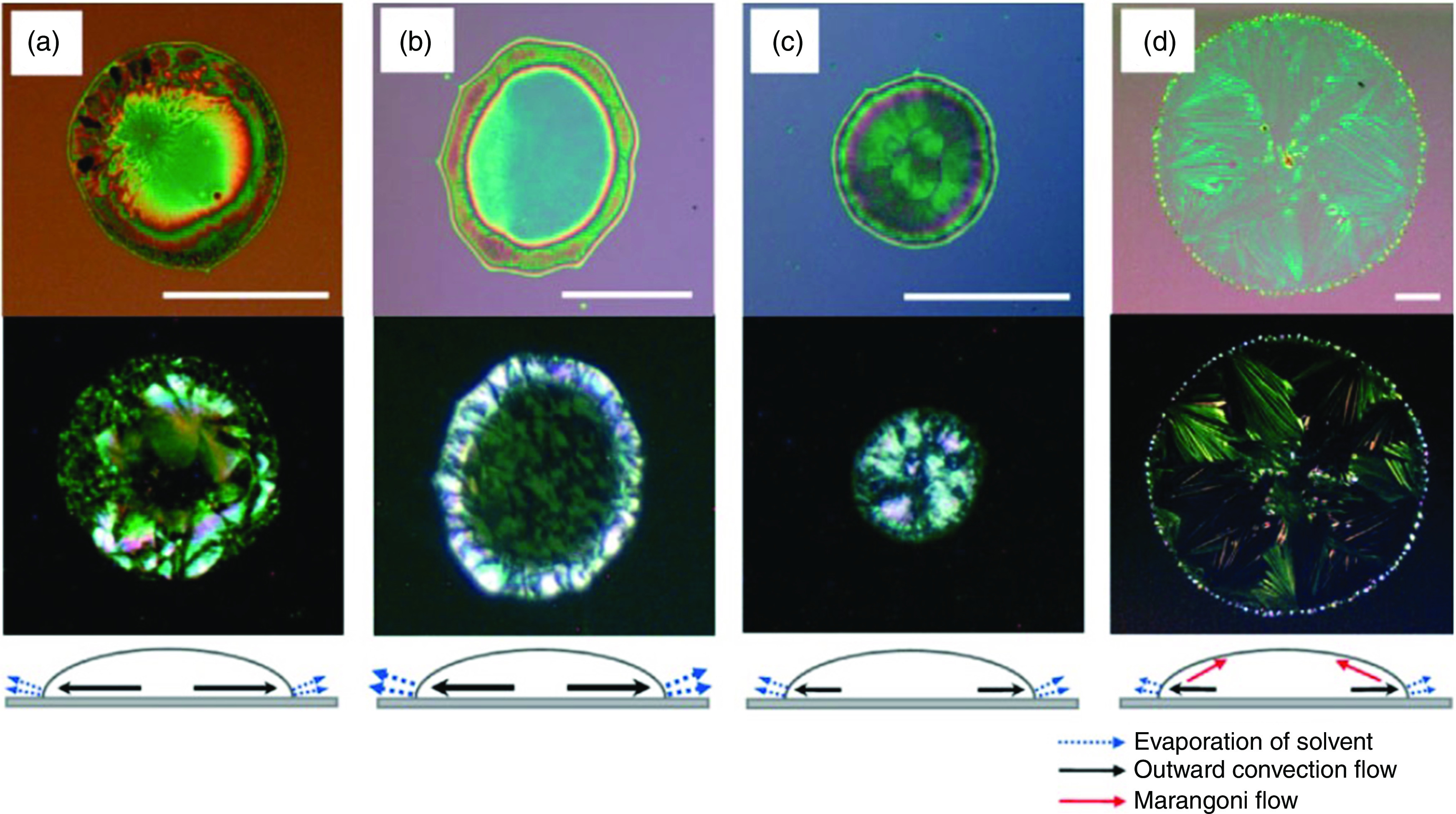 FIG. 26.