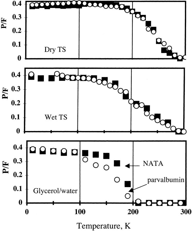 FIGURE 21