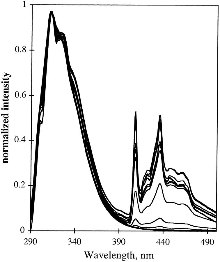 FIGURE 17