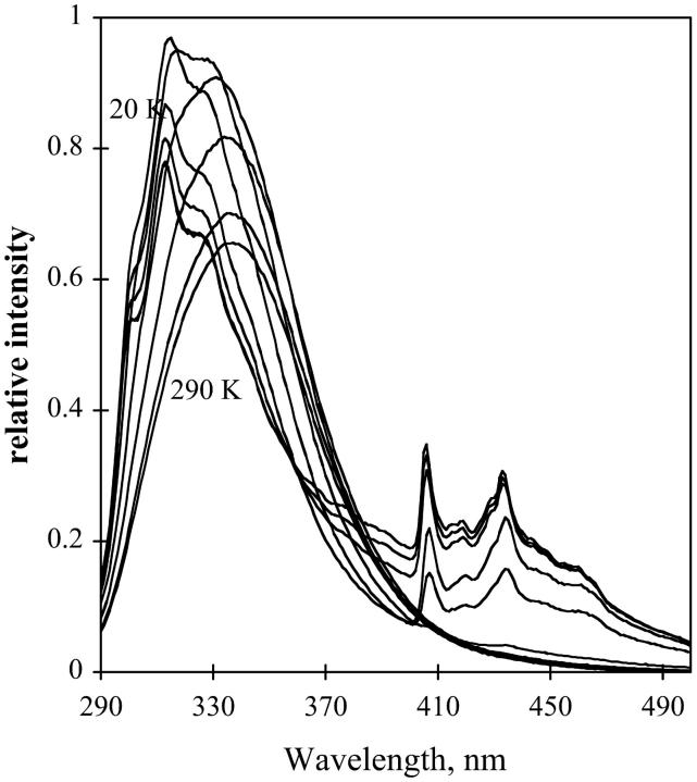 FIGURE 20