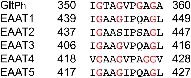 Figure 6—figure supplement 3.