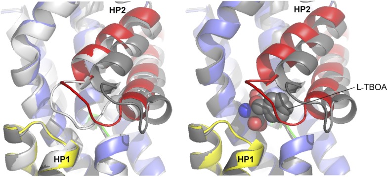 Figure 6—figure supplement 2.