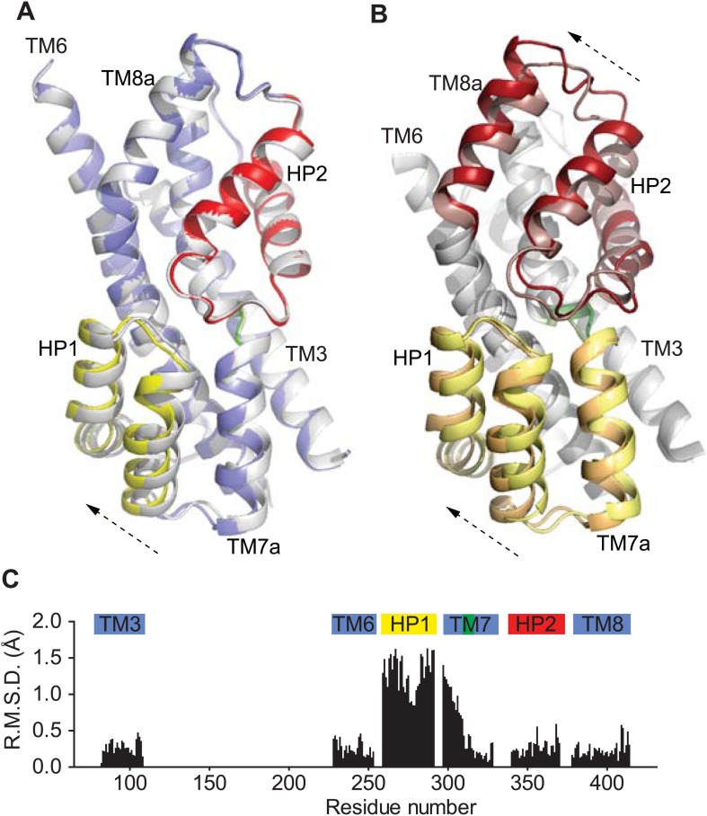 Figure 9.