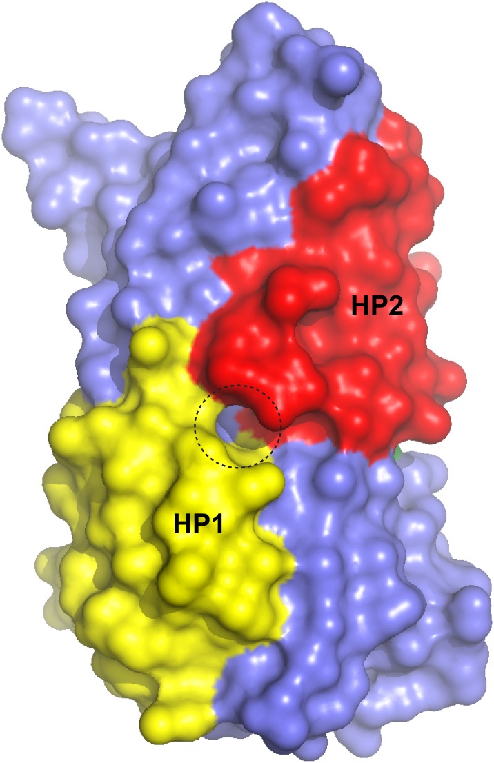 Figure 9—figure supplement 2.