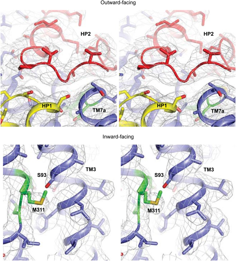 Figure 3—figure supplement 1.