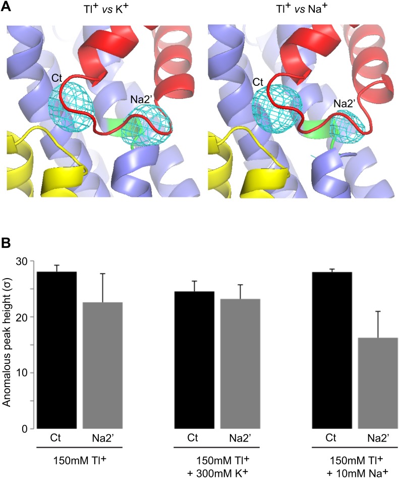 Figure 8—figure supplement 2.