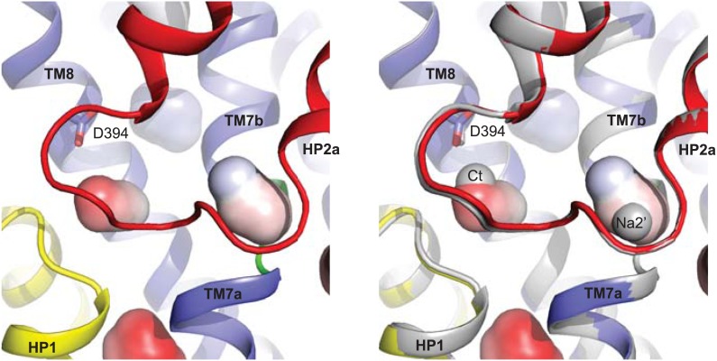 Figure 8—figure supplement 1.