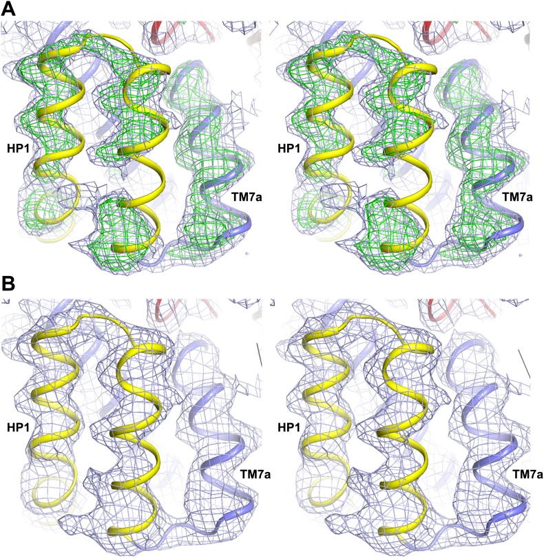 Figure 9—figure supplement 1.