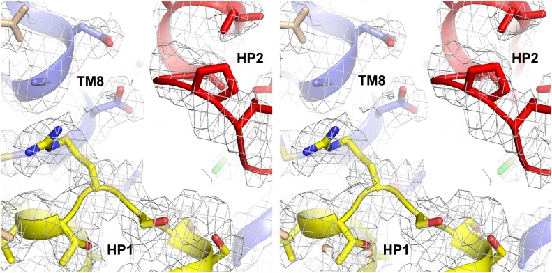 Figure 6—figure supplement 1.