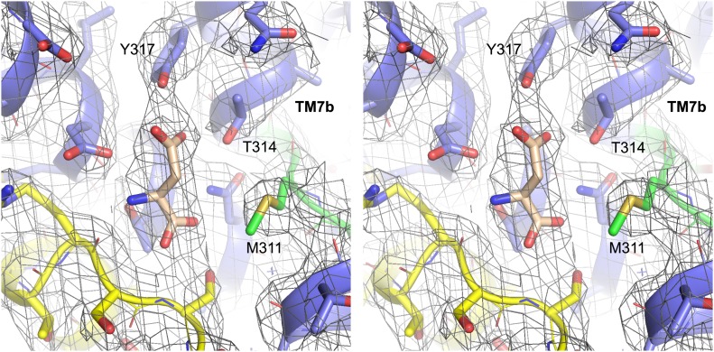 Figure 1—figure supplement 2.