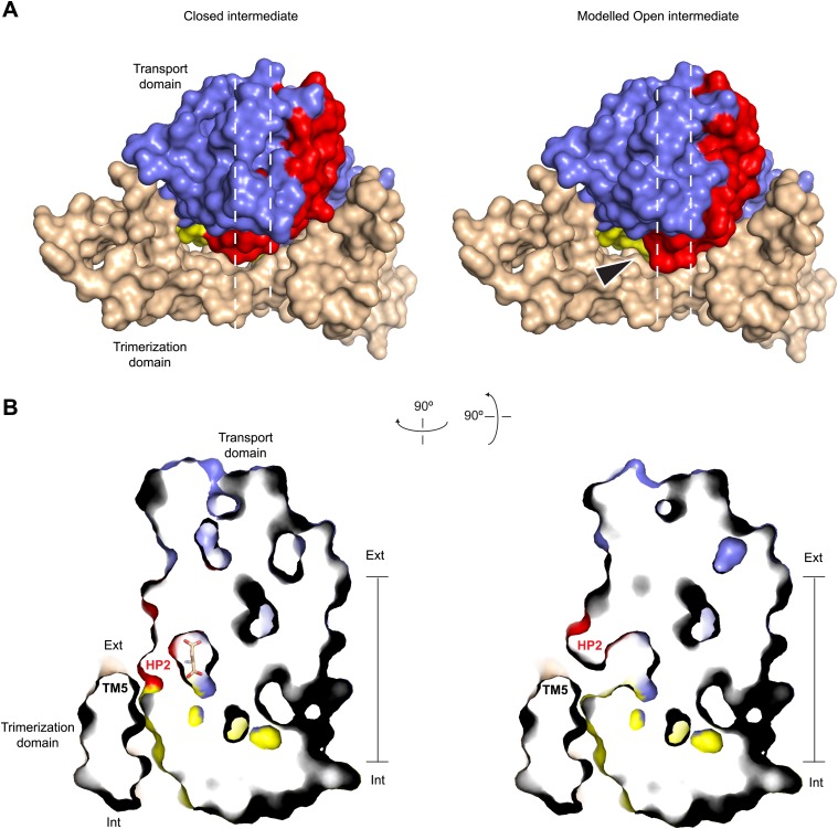 Figure 7.