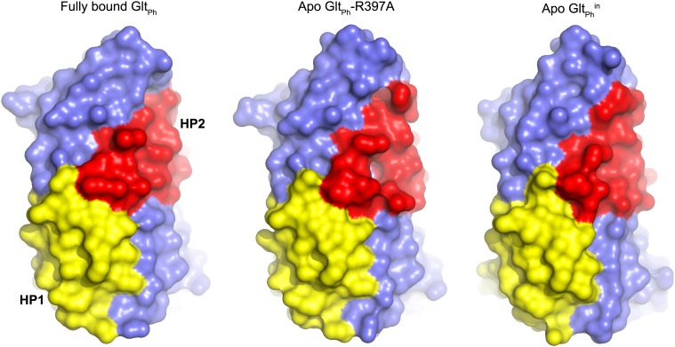 Figure 4—figure supplement 1.